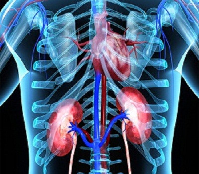 Nephrologist in Pimpri Chinchwad